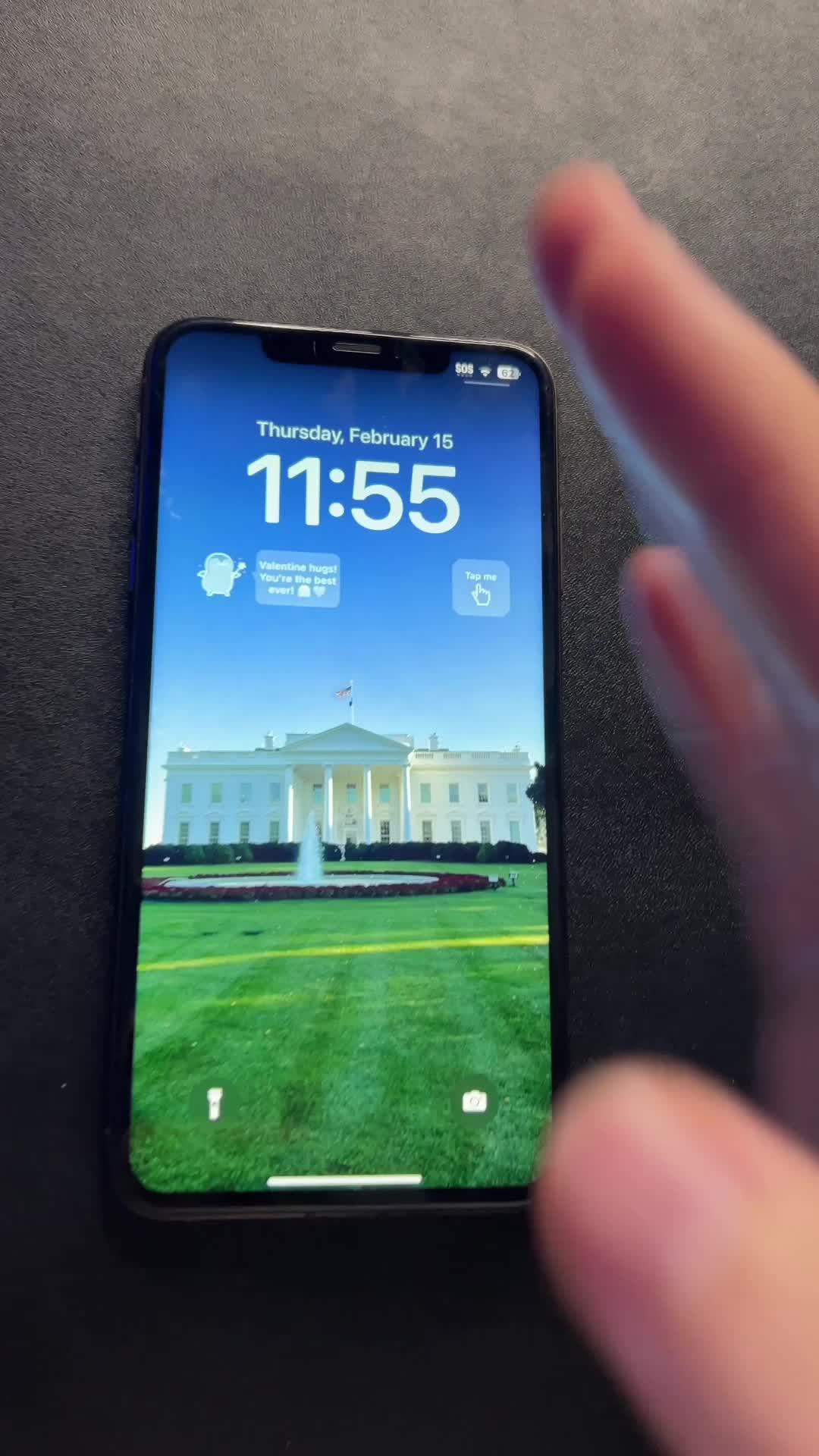 Raise a pet on your lock screen