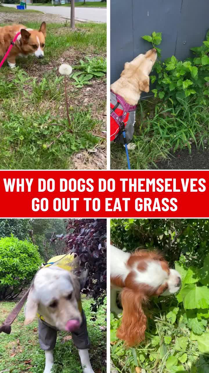 Free time part-time income