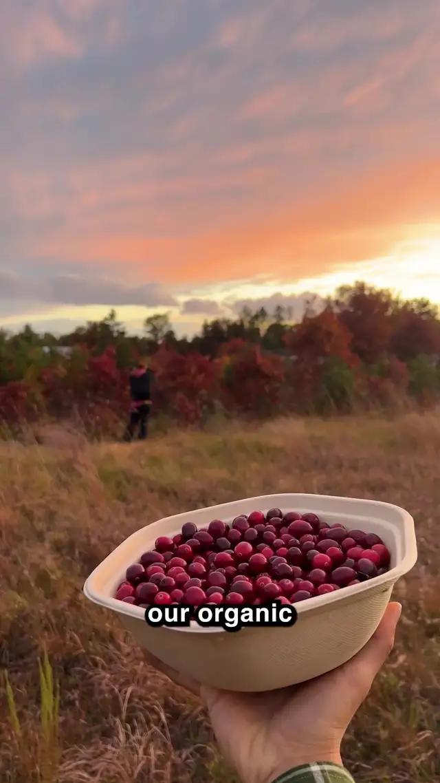 how to tell the difference between a good and bad berry? it’s all in the bounce! learn more about the fresh, bouncy cranberries behind our vinaigrette from our latest trip to sundance farm 🧑‍🌾