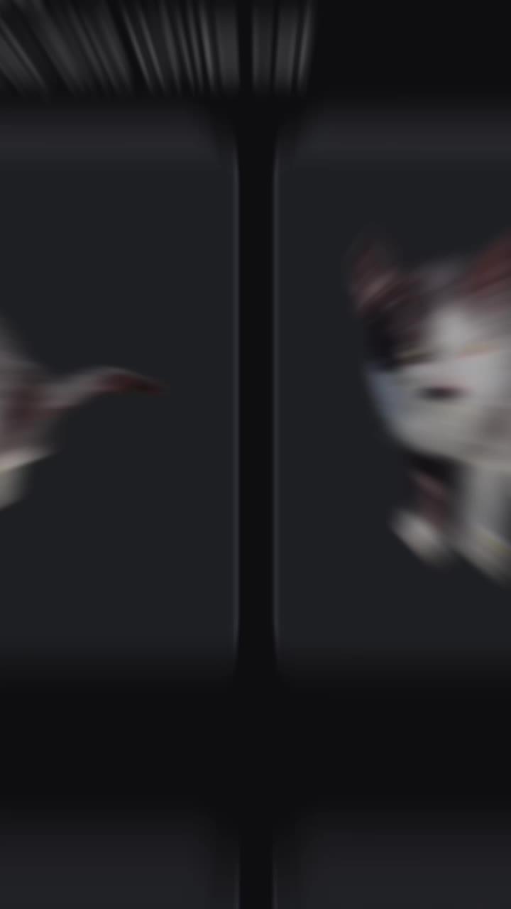 Amazing photos in seconds!