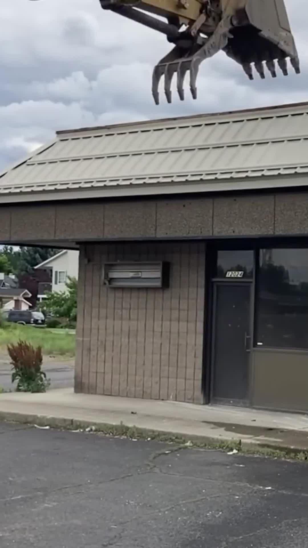 Embark on an exhilarating journey face to face with dinosaurs！