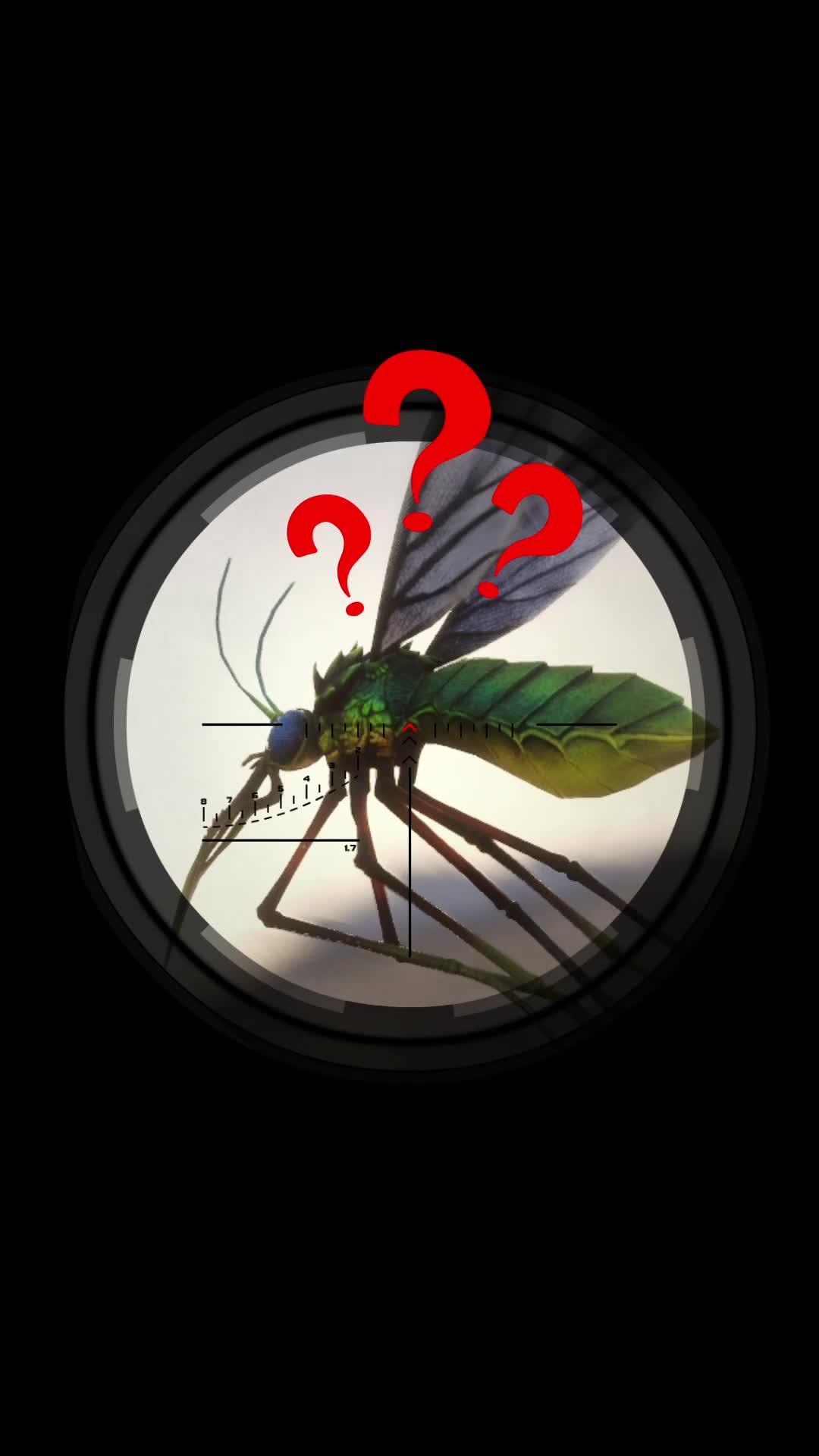 شارك في حملات ملحمية