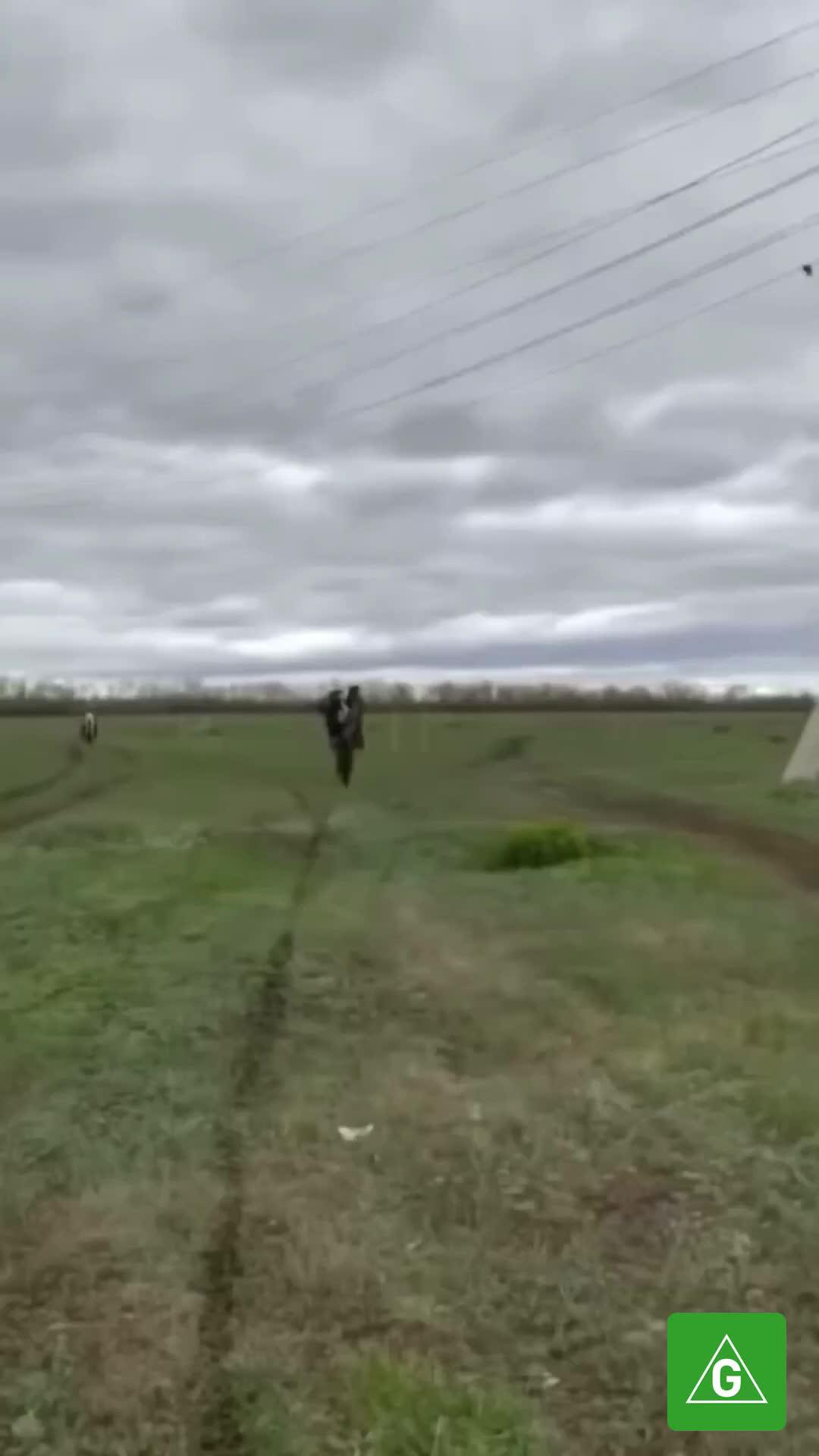 What are you gonna do today?