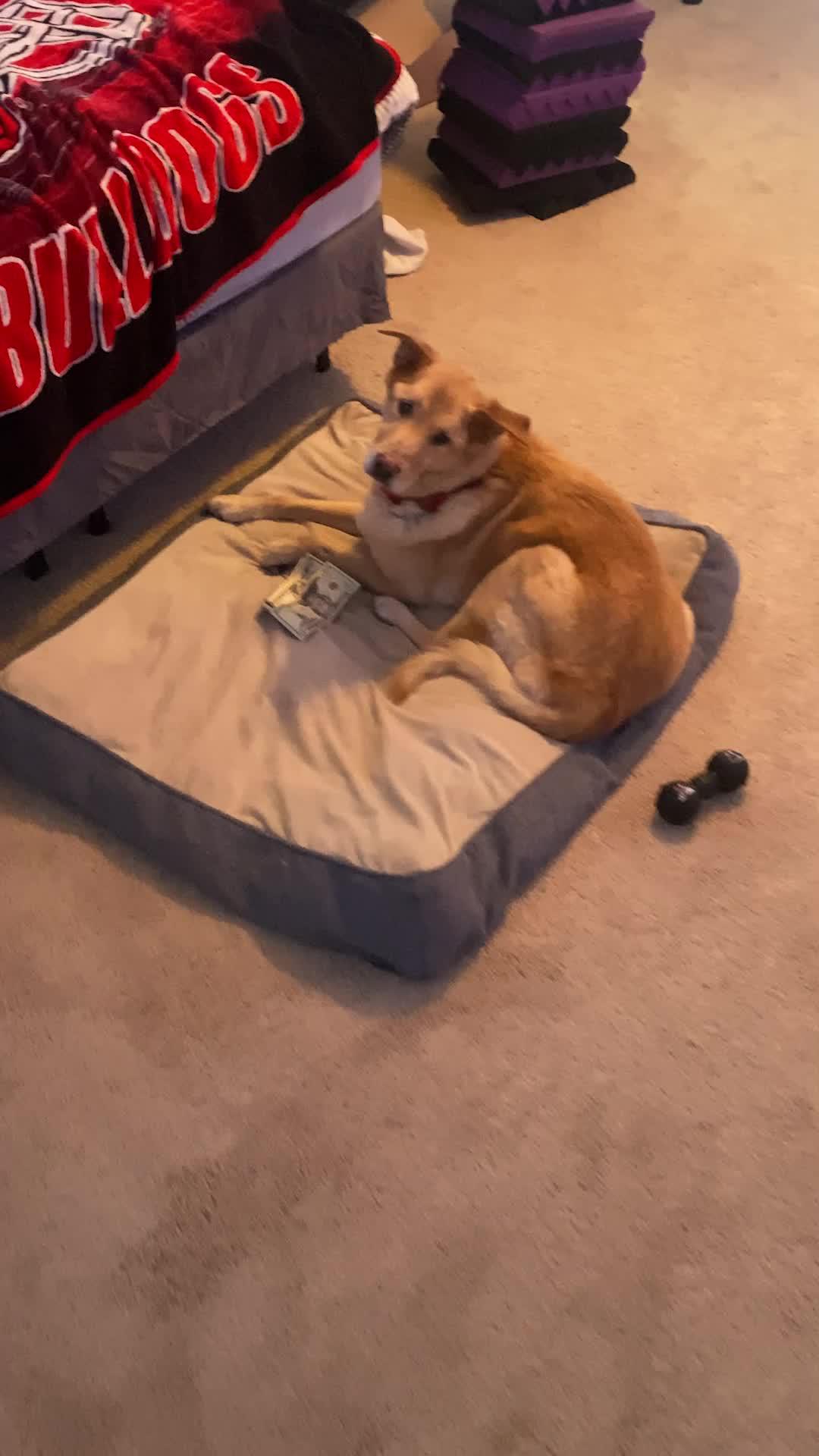 Can you make the right moves?