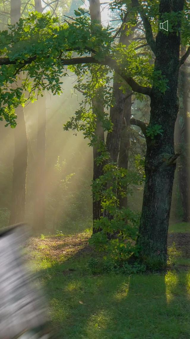  無料トライアル開始！