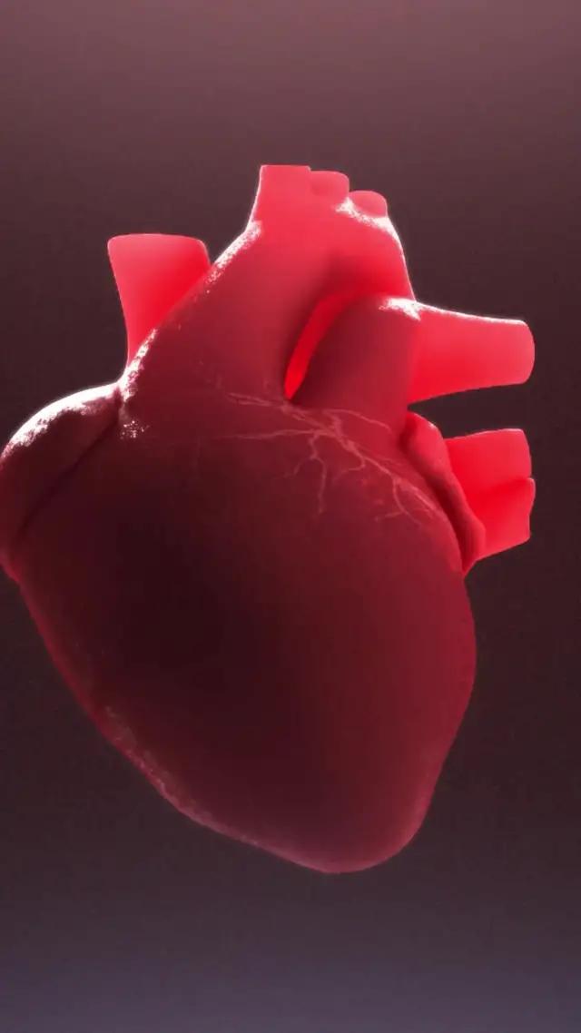 Pulse & Blood Pressure Diary.
Take control over your health with Cardi Mate!