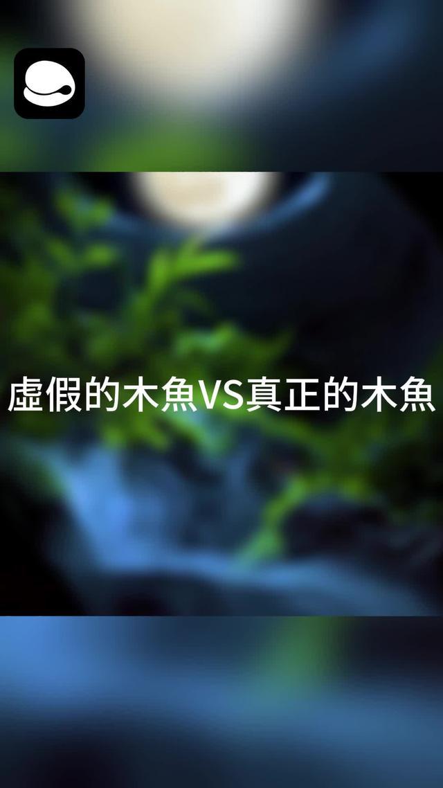 壓力緩解神器！鬱悶心情無法排解？那就快來敲敲小鮮木魚吧，在舒緩的背景音樂中為你釋放壓力。