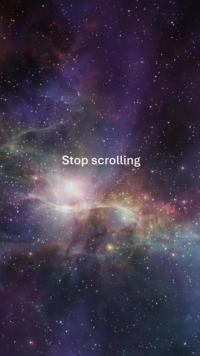 Dive into a world of wellness with HeyZen!