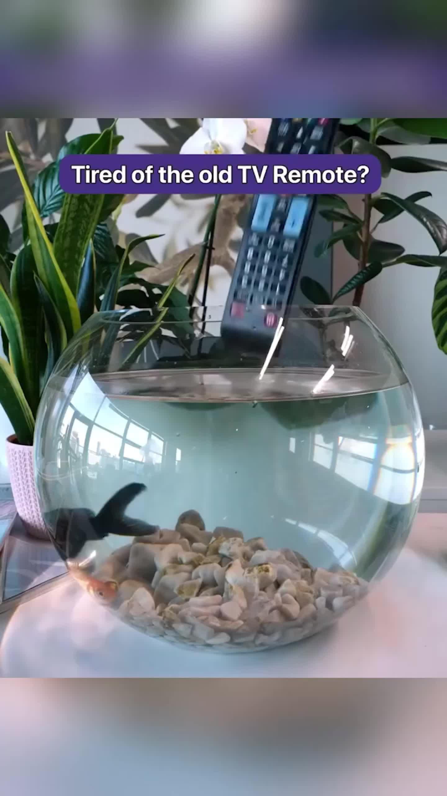 All in one remote control that can operate multiple devices