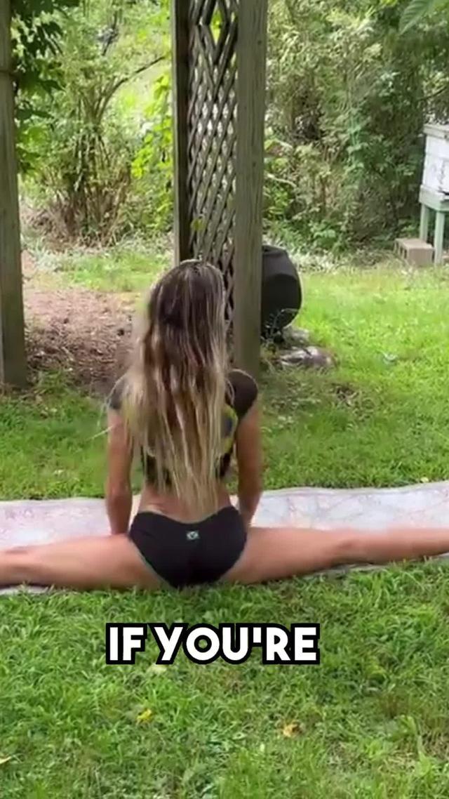 Download ABPV for free now