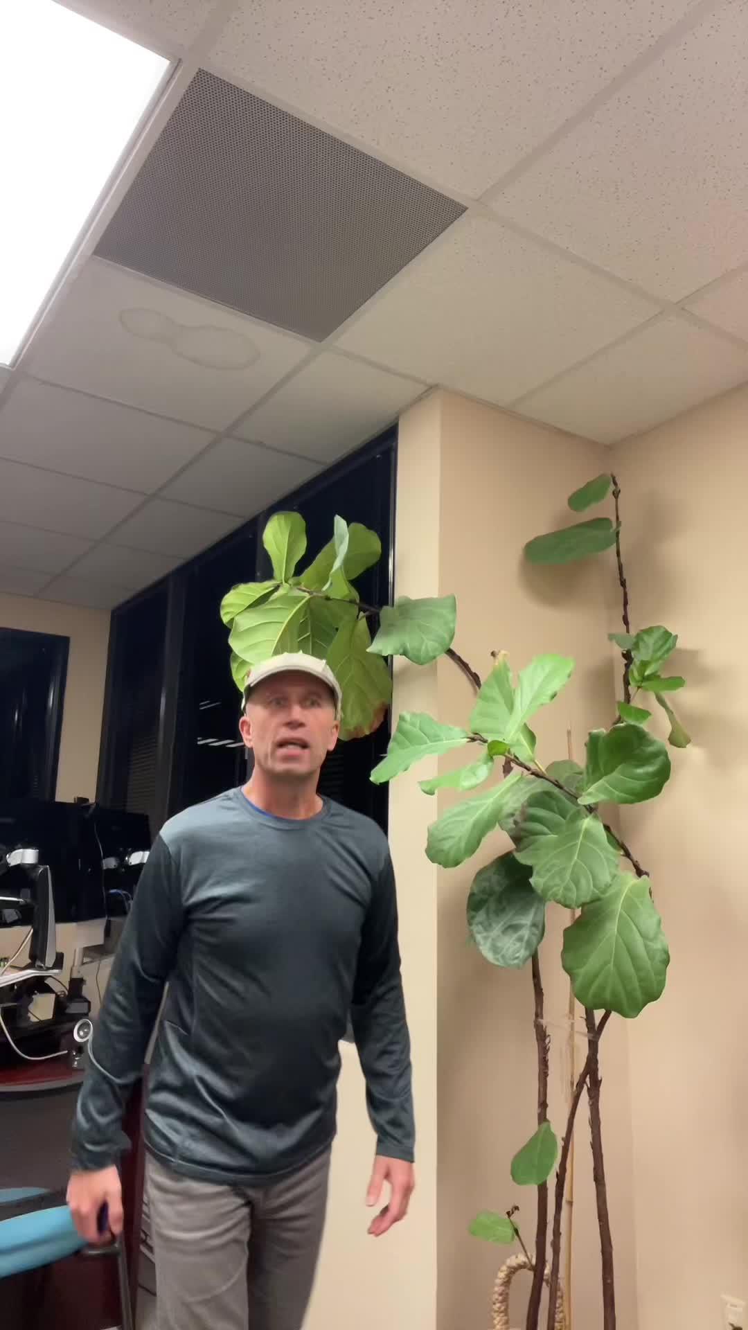 Create and send professional invoices on the go and get paid faster!