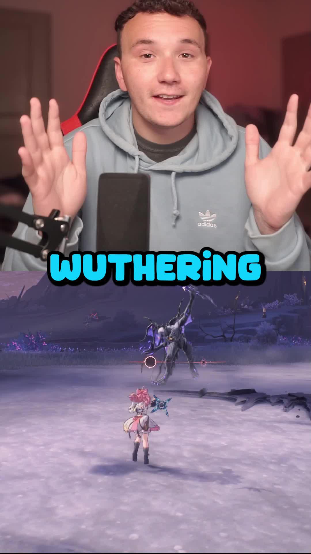 Enjoy Across All Platforms！Set sail for your journey in Wuthering Waves！