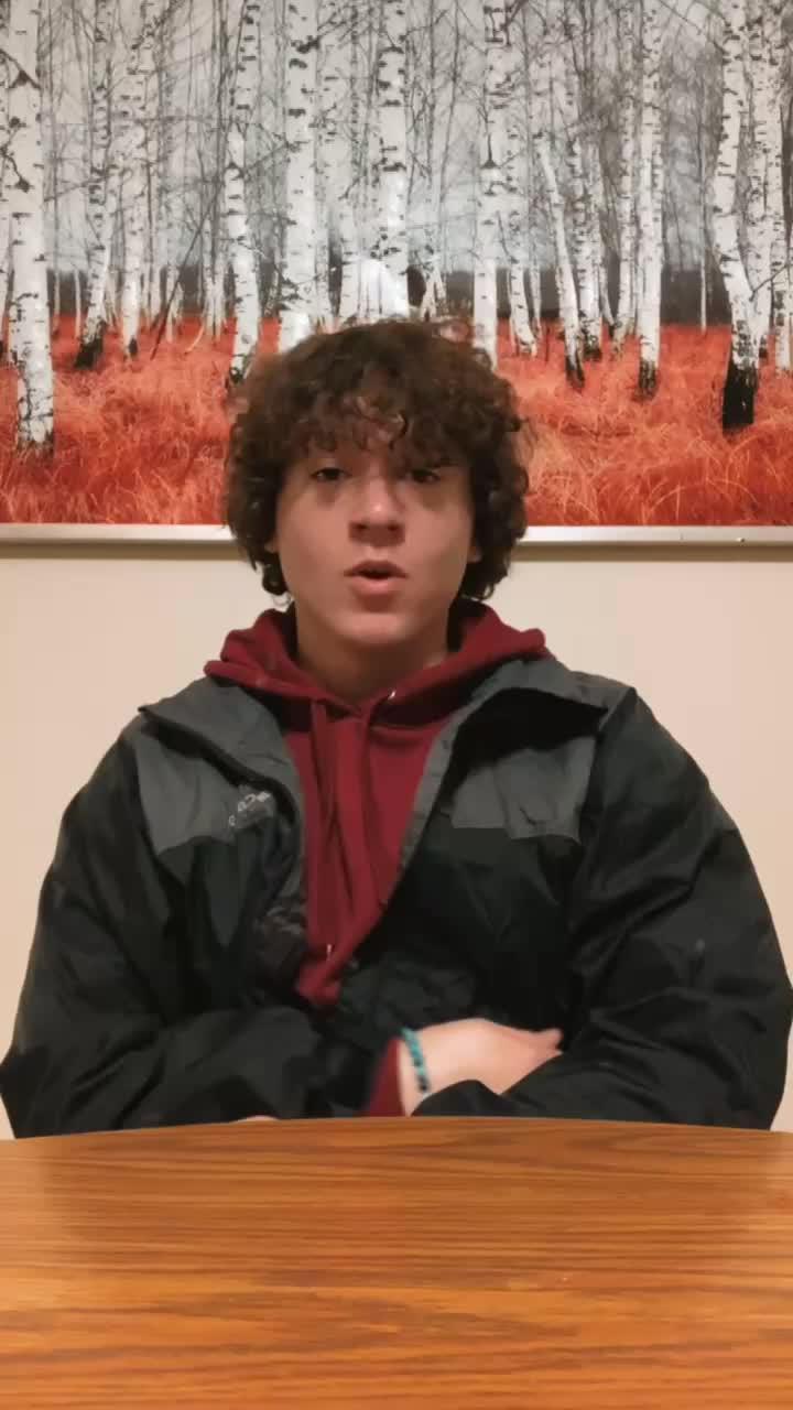 20 MIN FULL BODY WORKOUT // No Equipment