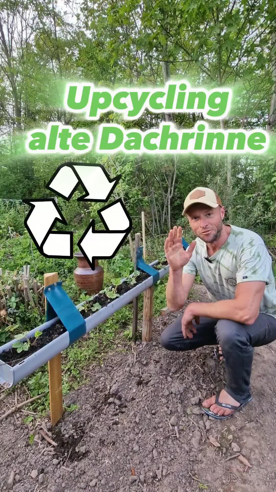 Upcycling alte Dachrinne mal anders 😀 #gardening #Erdbeeren #garten #upcycling #garden #Umwelt #erdbeere #selbstversorger