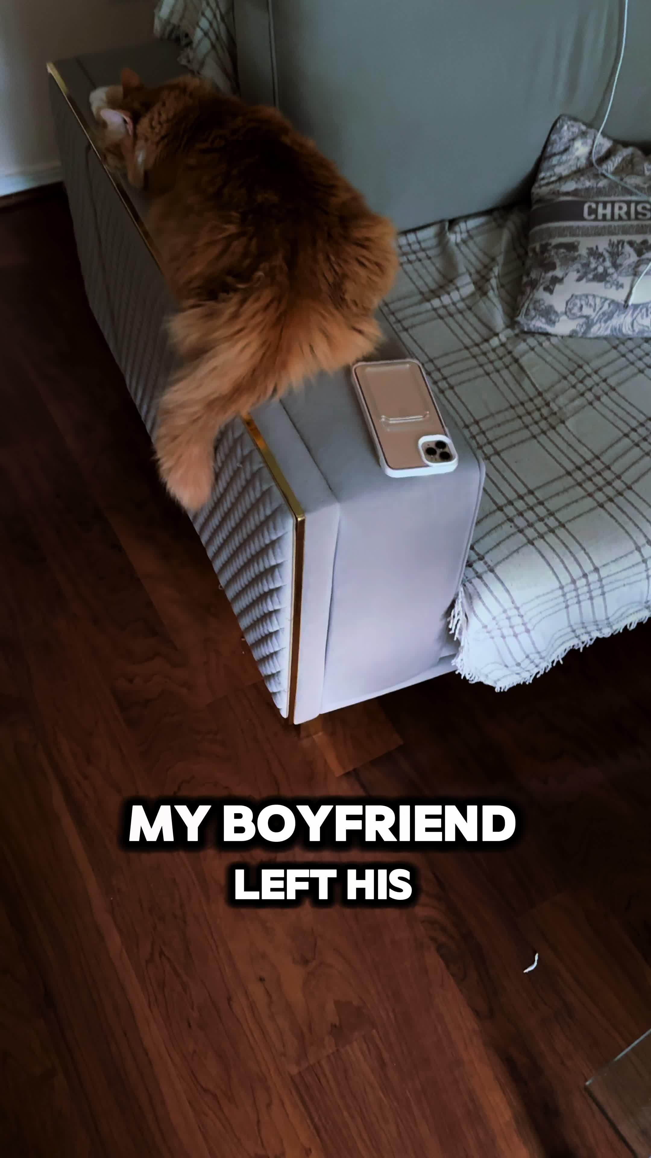 Set exclusive widgets & themes for your Phone