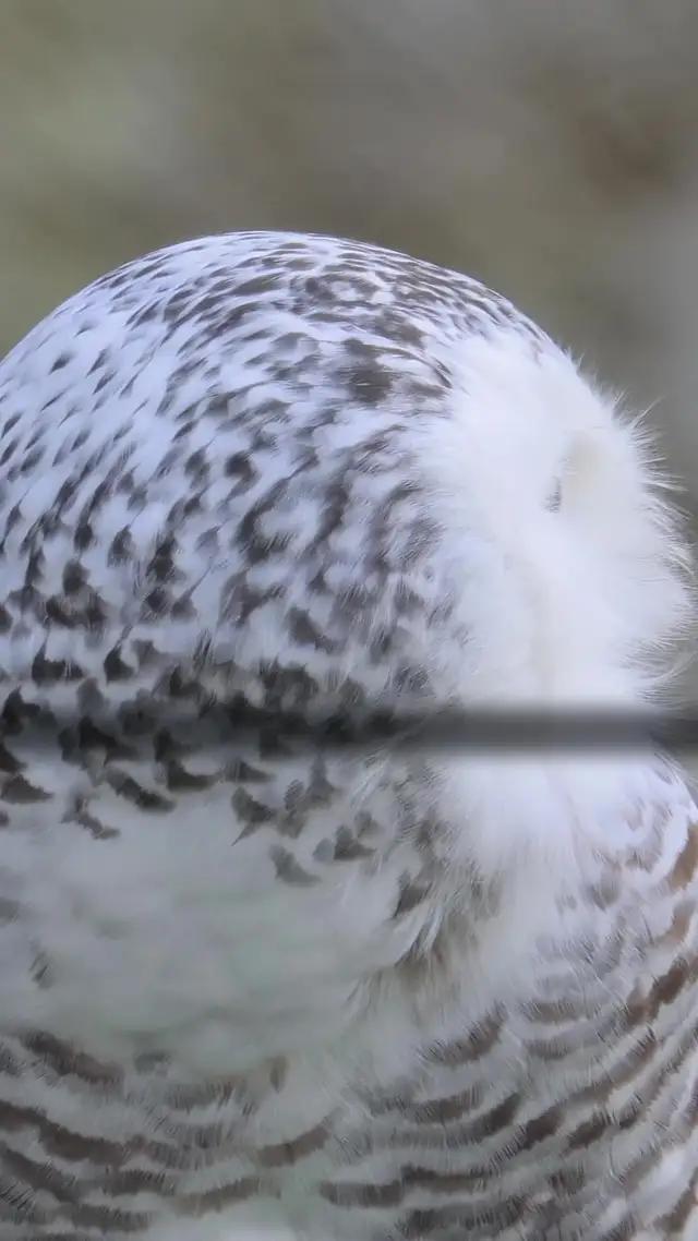 Hayat Finans mobil uygulamasını hemen indirin, birikimlerinizi büyütmeye başlayın!