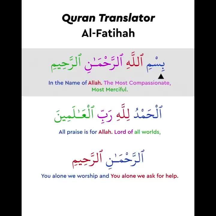 Voice, Text, OCR translation.