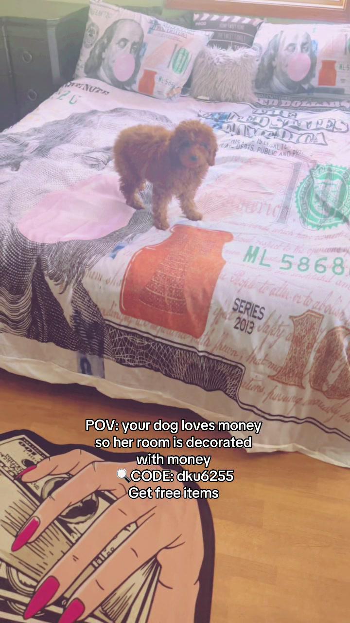 My money home decor from #temu is too cute. Use code dku6255 to get free items. #dog #shop #bedding #homedecor #foryou