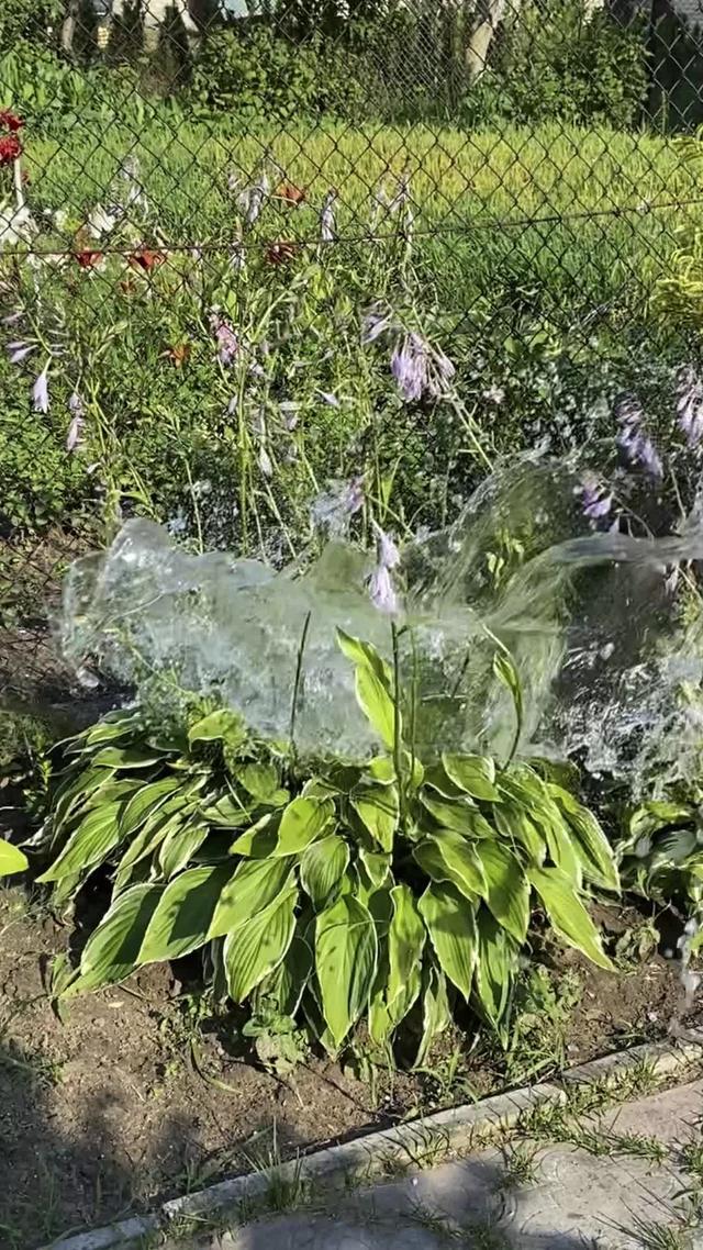 Recevez des notifications personnelles sur l'entretien des plantes. Téléchargez gratuitement.