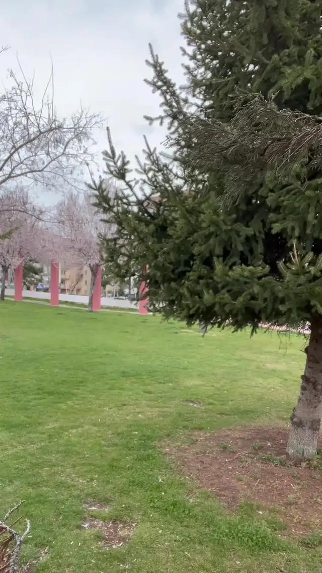 Bu fırsat kaçmaz! Siz de hemen Mobil’den müşterimiz olun.