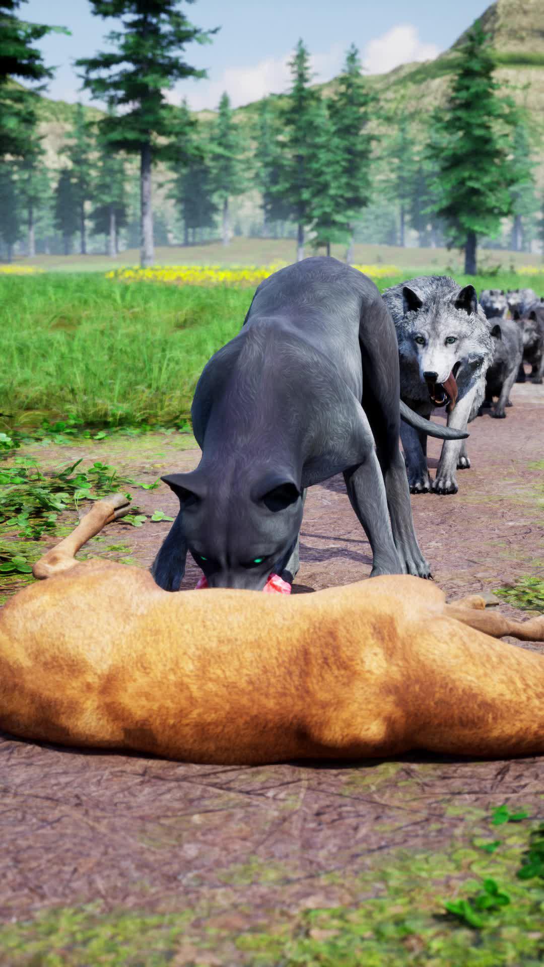 Become the wolf lords, rise to the top of food chain.