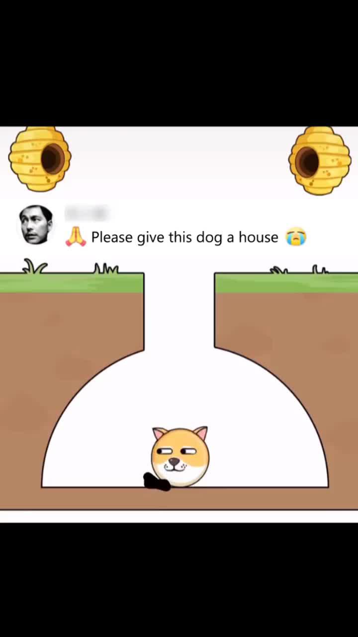 Can you save this dog?