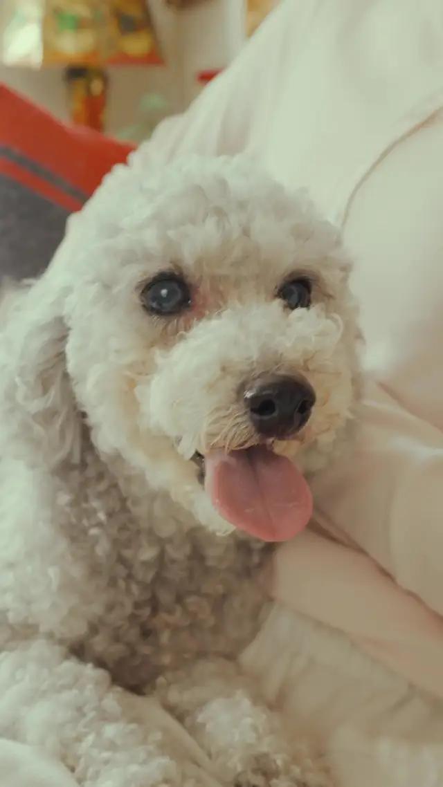 ≪リリース記念≫男性も女性も無料キャンペーン実施中子どもを持たない人のためのマッチングアプリ誕生