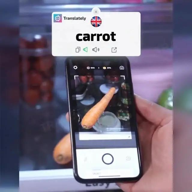 ترجمة مجانية!