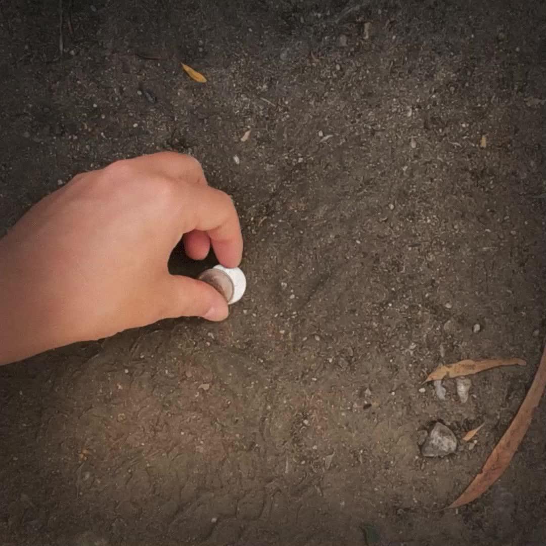 Scan and evaluate your coins now with our mobile app!