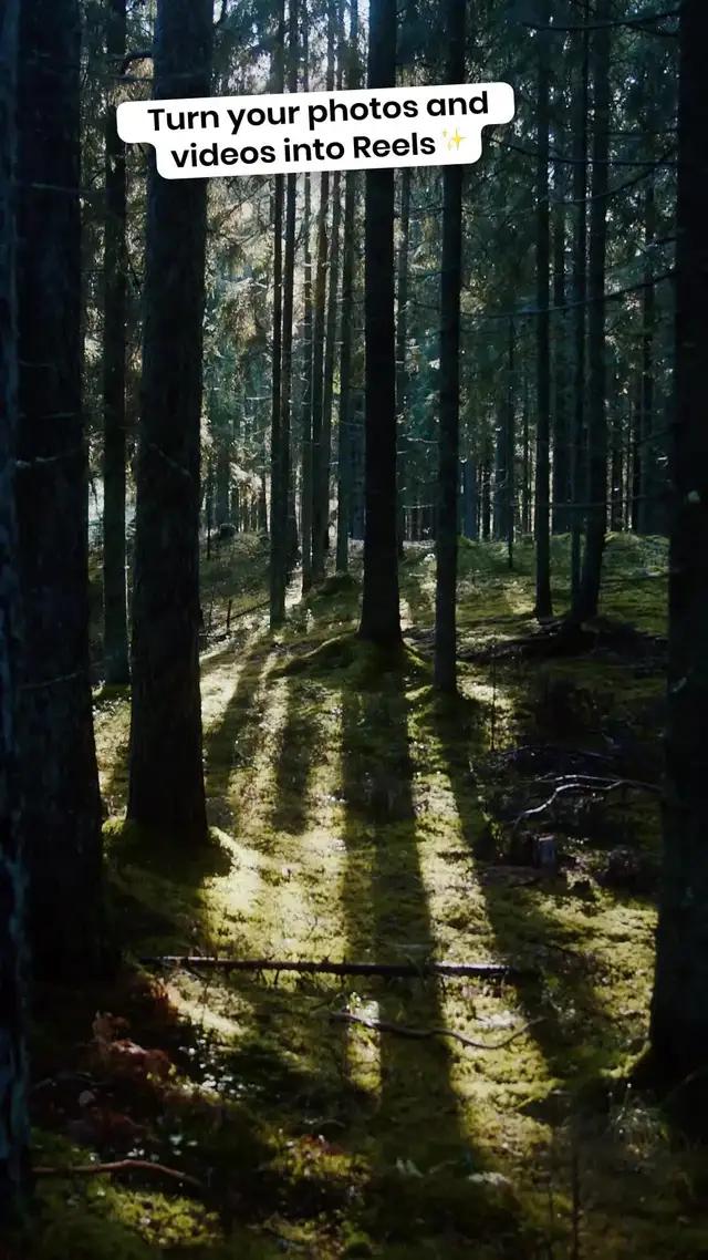 Create Videos and Reels with BEAT!