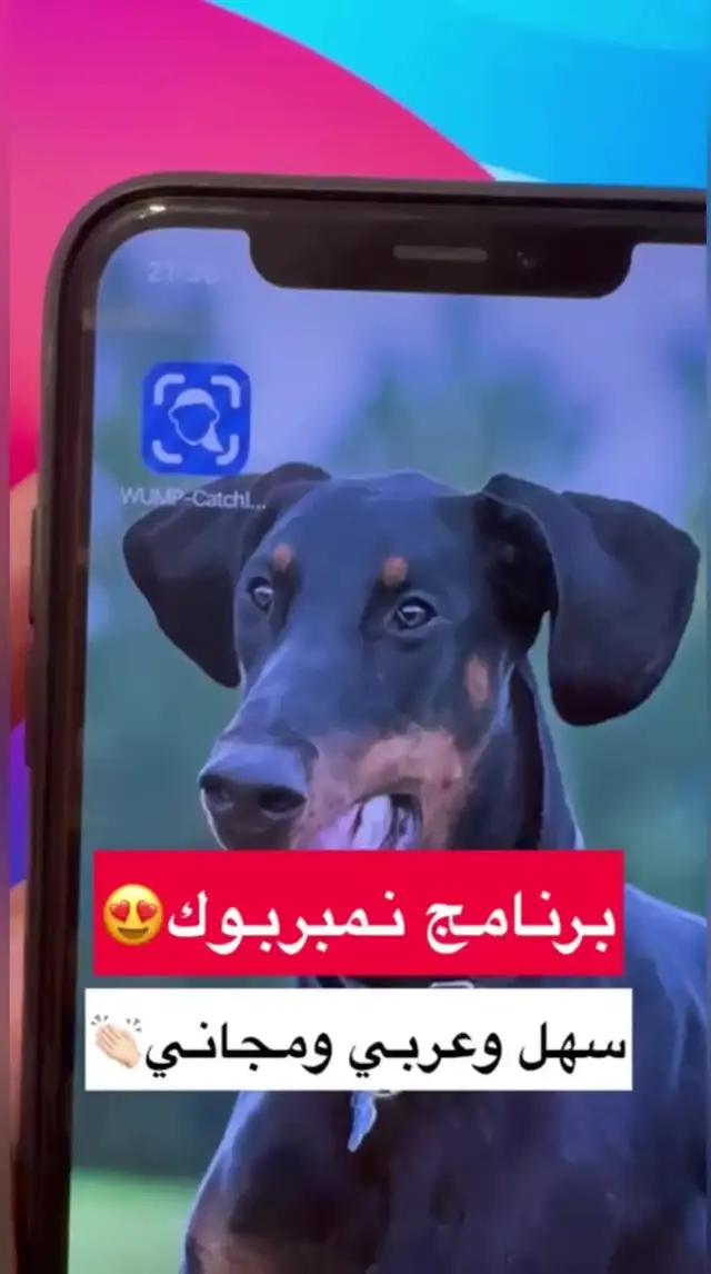 مفاجأة أصدقائك!