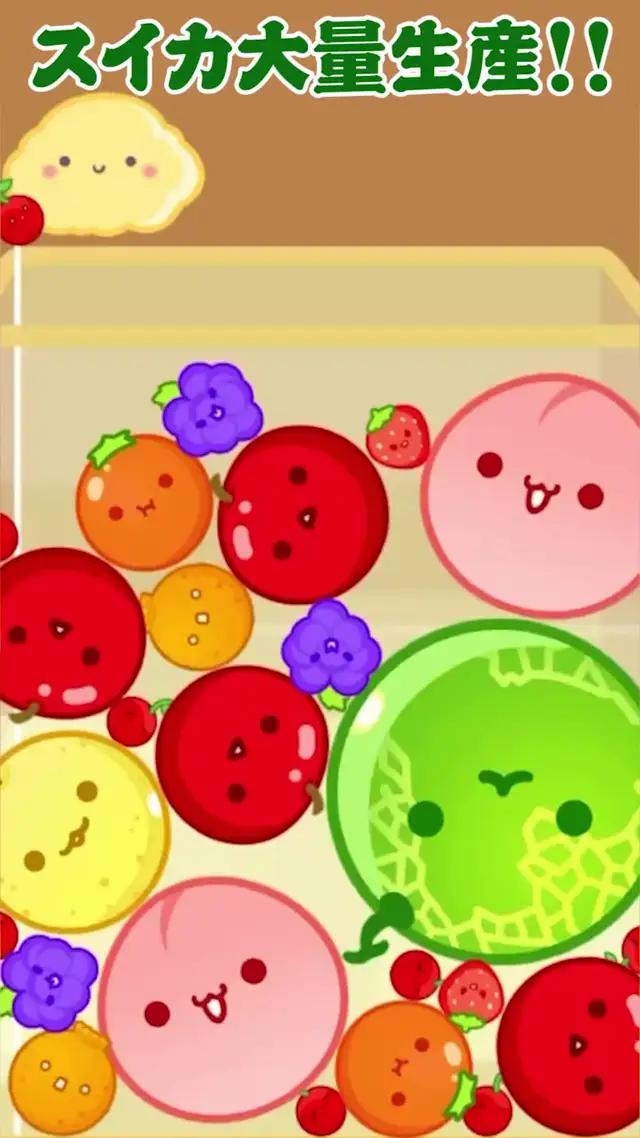 最終目標は合体して大きなスイカになることです!