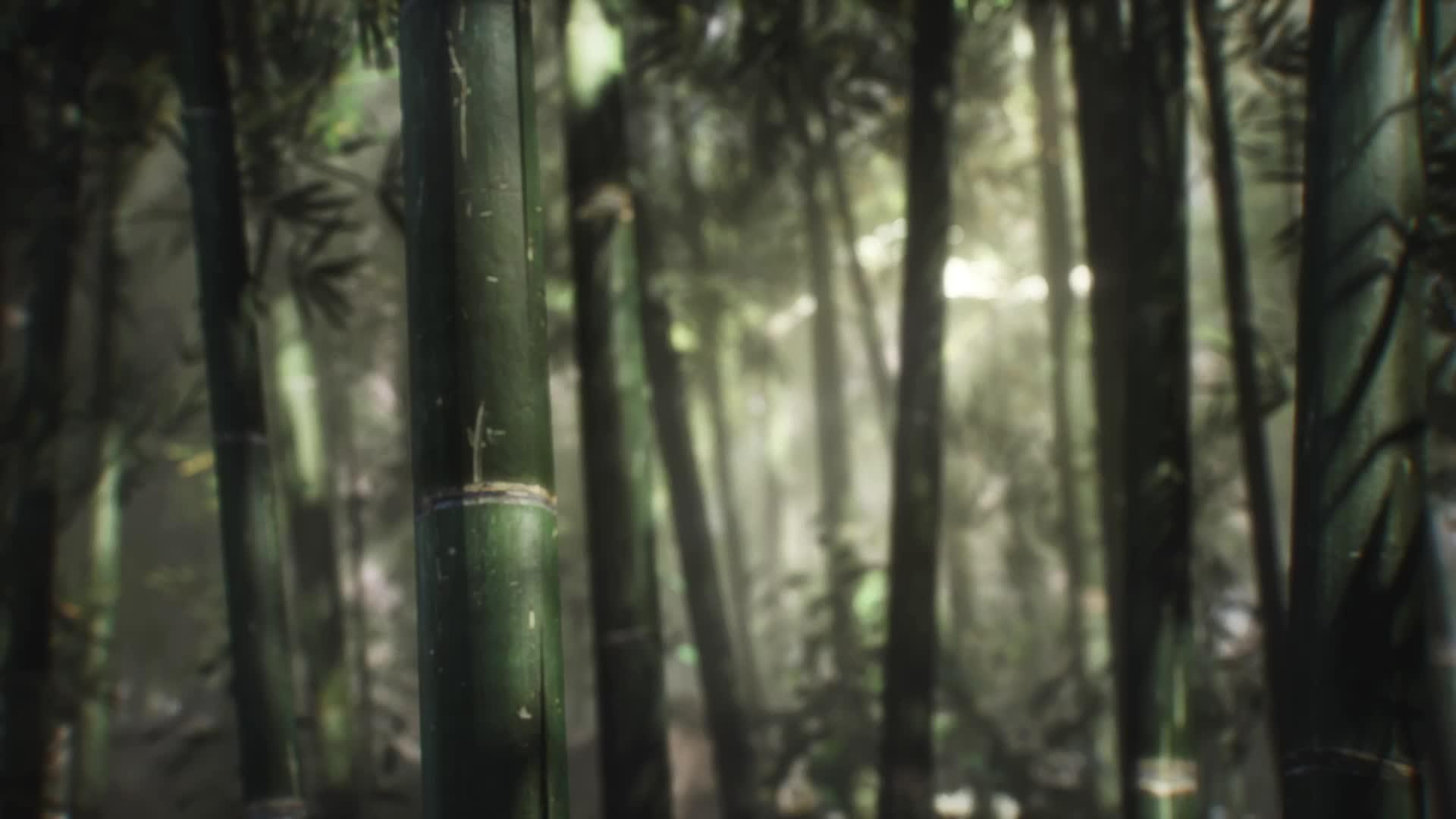 【真．三國無雙M】真正的無雙橫空出世！