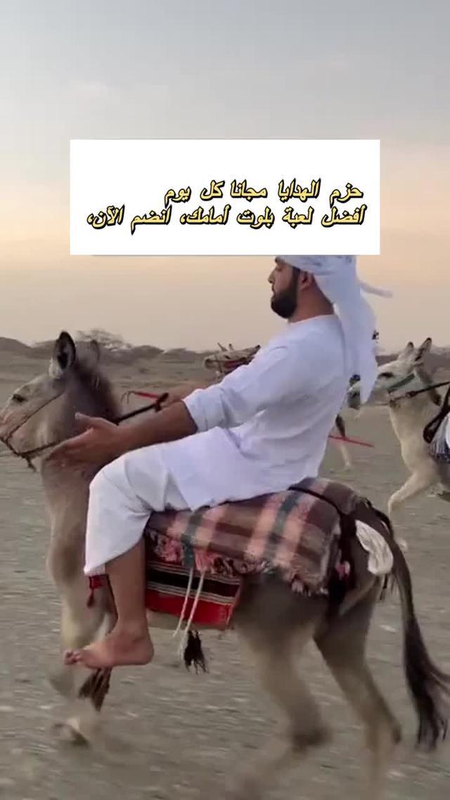 أنا أستاذ البلوت، مين يقدر تغلب علي؟