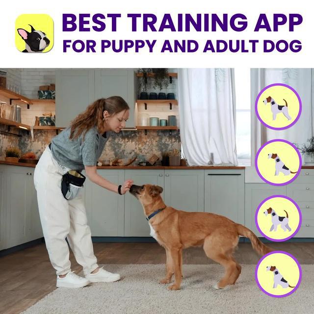 Start training your dog today with the top Dog Training App in the world.