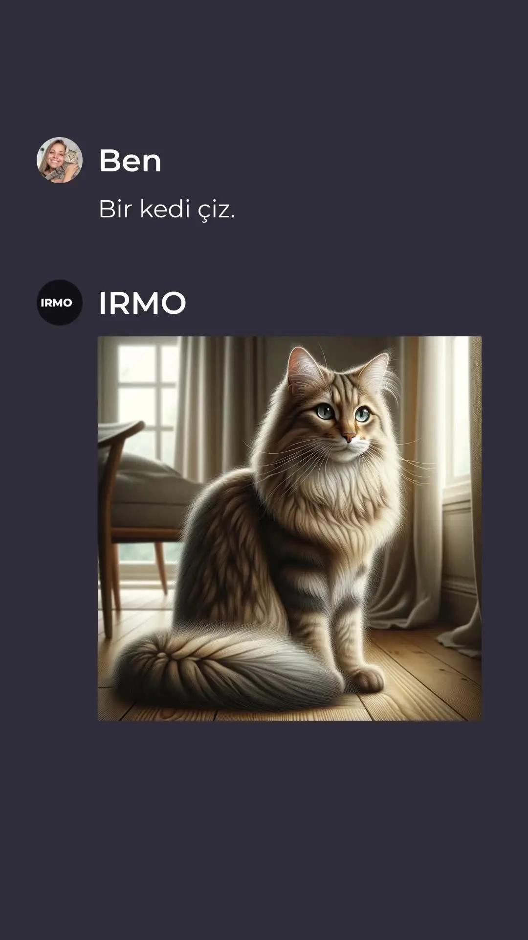 Dünyayı ele geçiren kedy🐈 Bırak IRMO ne istersen sana onu çizsin🤖 #irmo #kedi #sinirli 