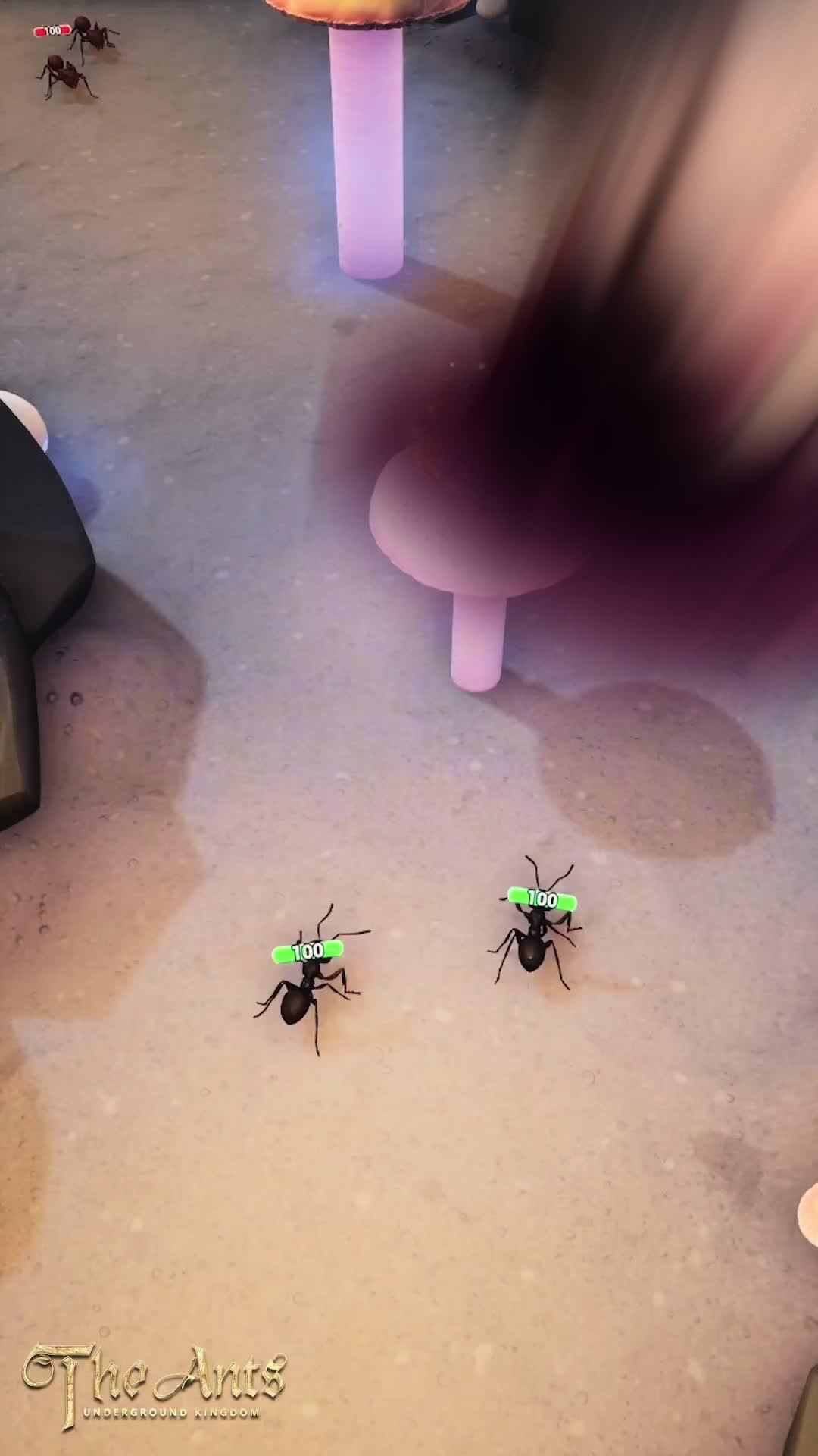 現在探索螞蟻世界！