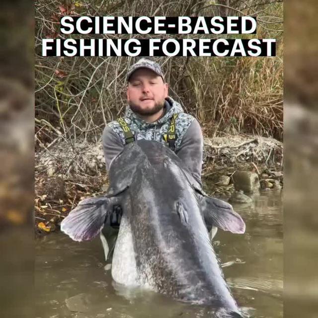 How is the weather today