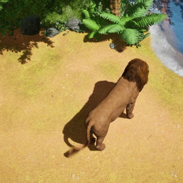 Strategy is Key for Win!