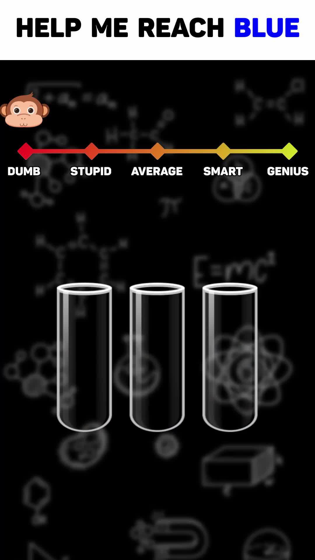 Top Ball Sort Puzzle Game! Can you master all the Levels?