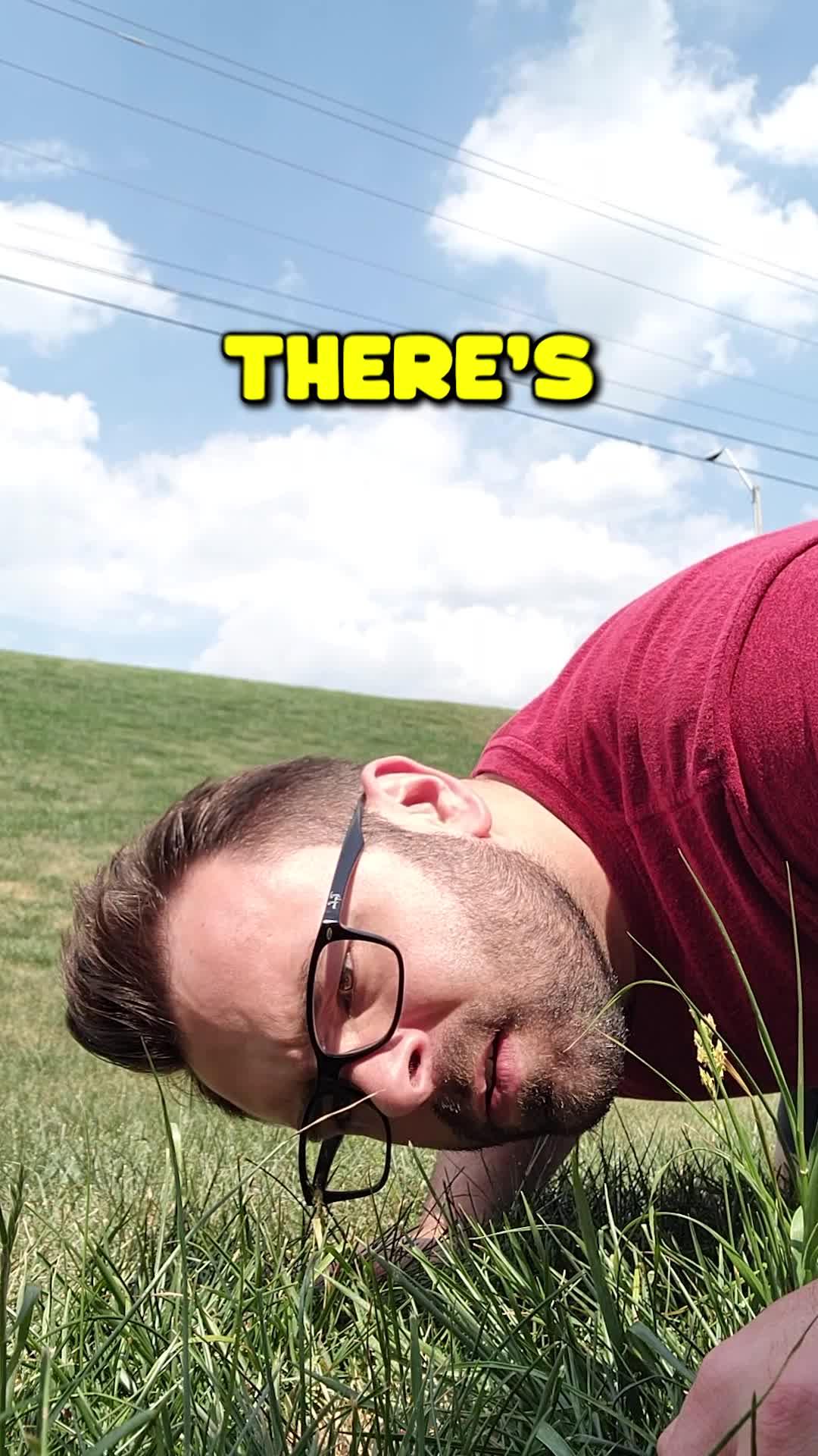 Get 180 pulls for free!