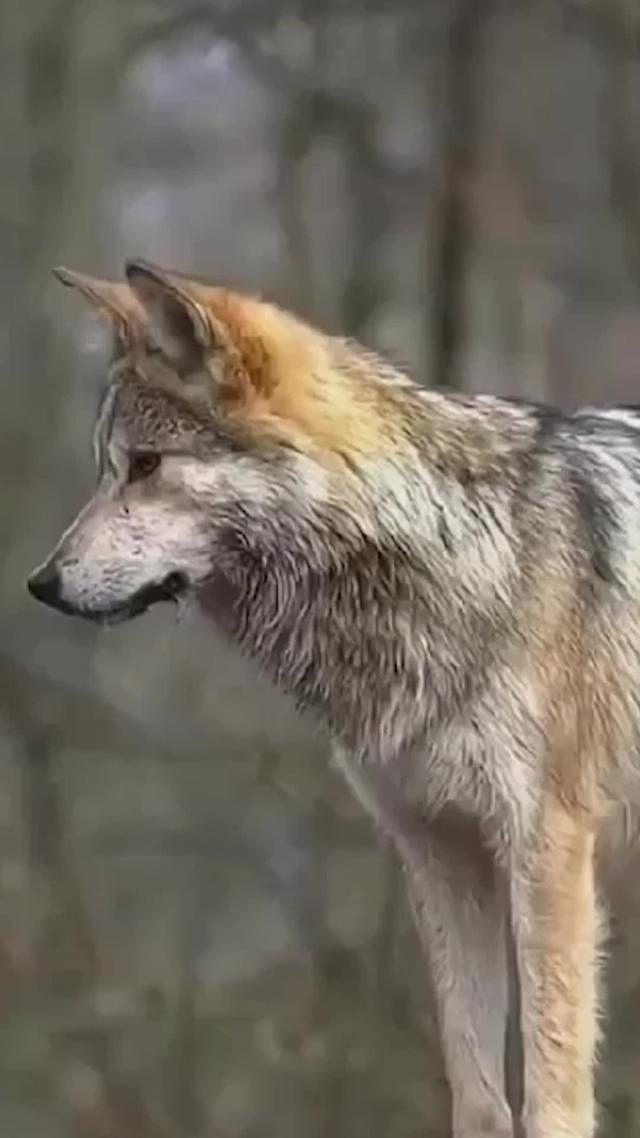 Avrupa Heyecanına Bugün Katıl!