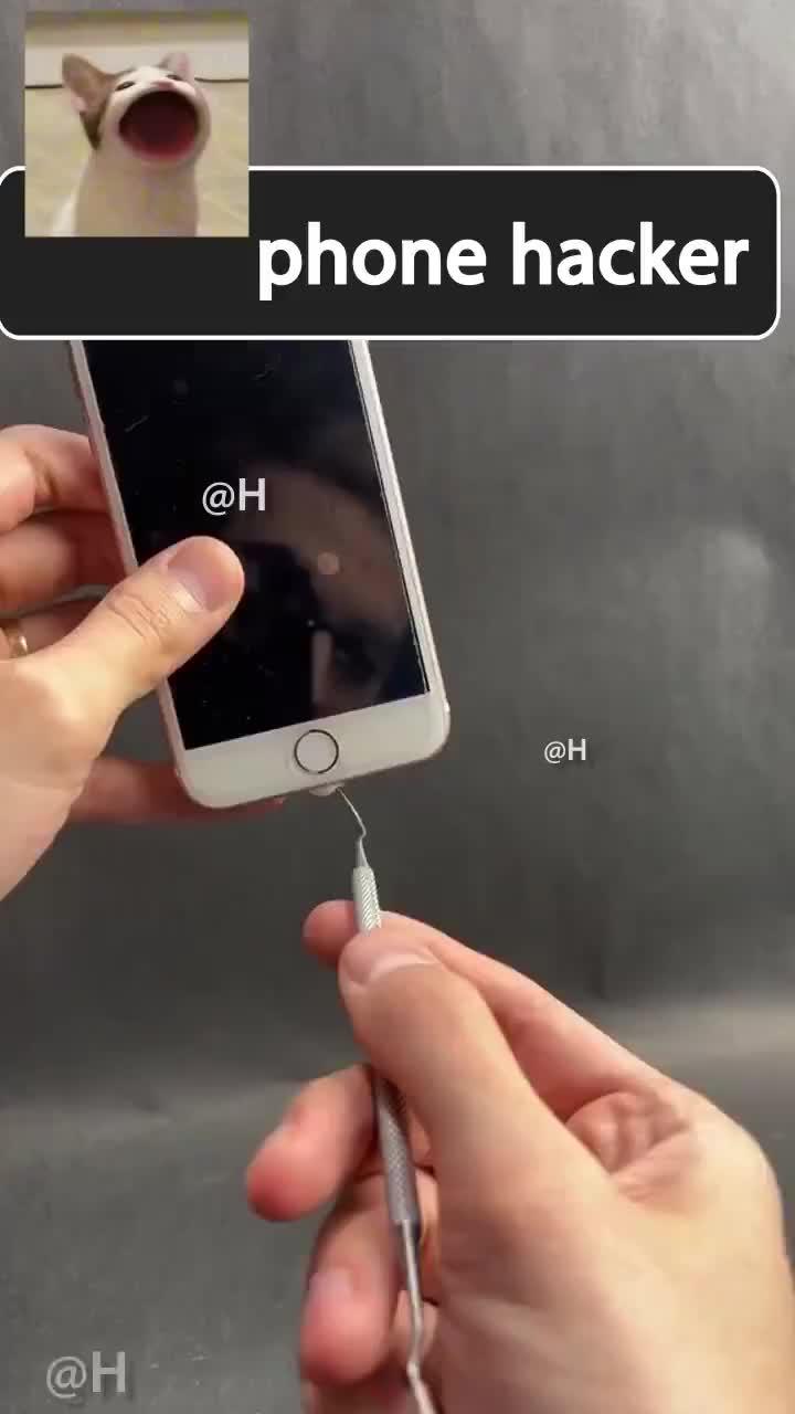 100% free app, install now