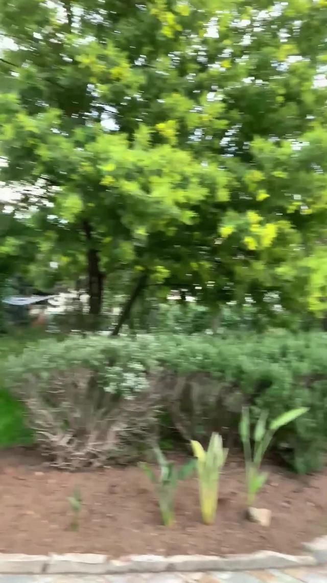 Franchis le cap et télécharge gratuitement Wup Networking !