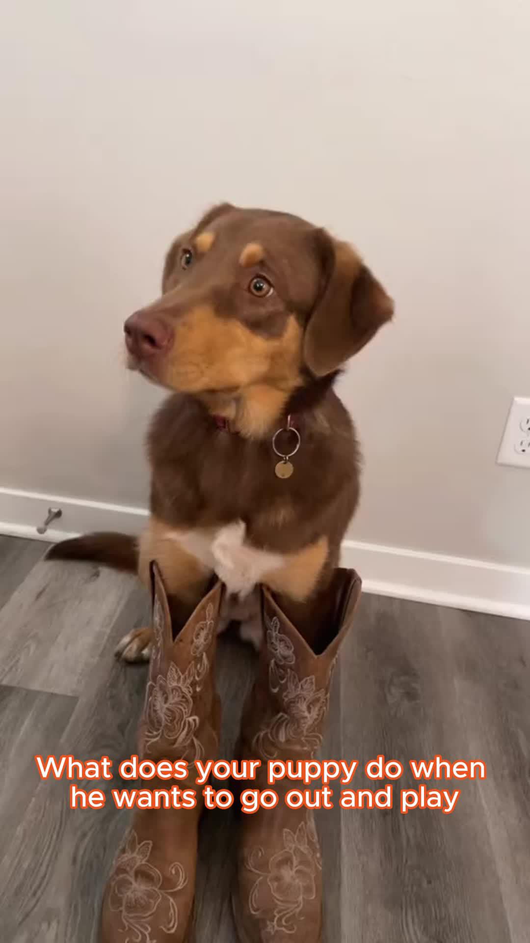 Send thisssss to your babe!