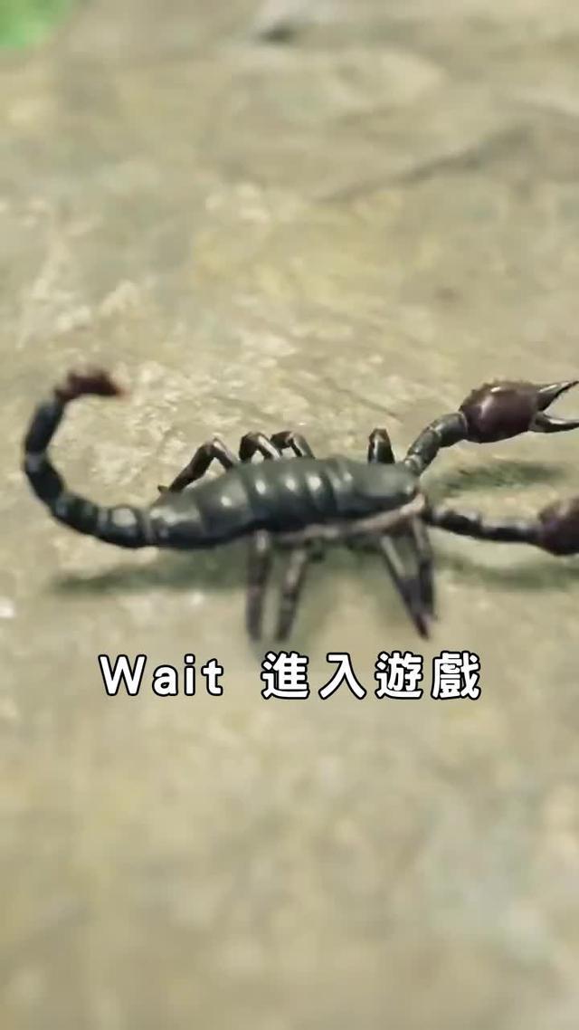 登入即送100連抽和SSR神將黑悟空！