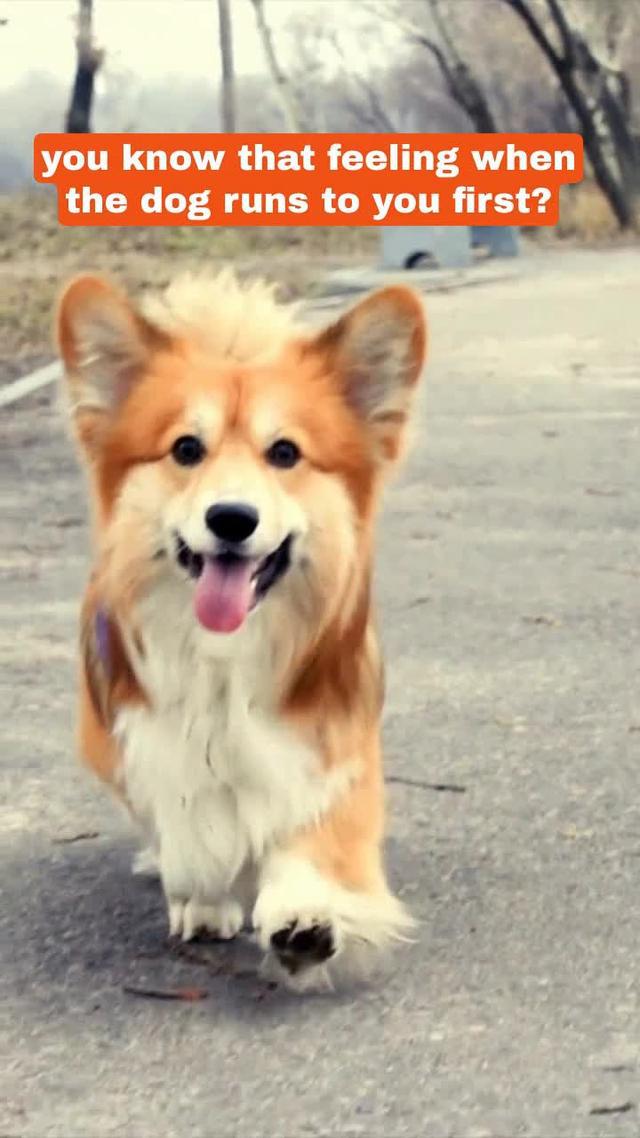 what's blue...? a new toxic-free, best-listeners-ever community. join us <3