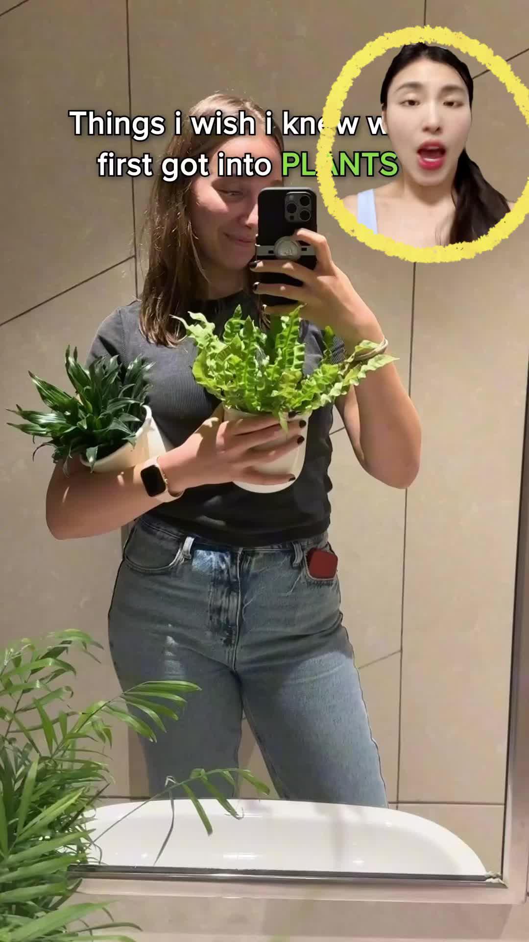 Identify any plant & diagnose plant diseases instantly!