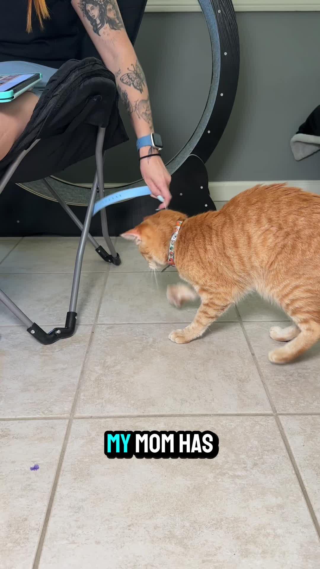 ¡Este juego es tan adictivo!