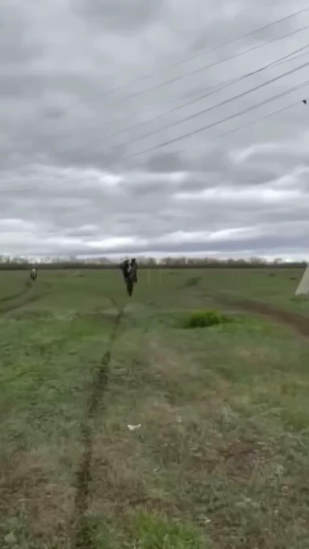 Where to survive this time?